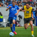 TSG Hoffenheim vs Borussia Dortmund – Bundesliga (Germany) 2024/25