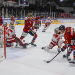 EHC Freiburg vs EC Bad Nauheim 2024/2025