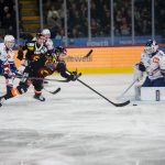 SC Bern vs ZSC Lions - National League (Switzerland) 2025/26