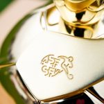 BSC YB Frauen vs Servette FC Chênois Féminin - AXA Women’s Cup Final (Switzerland) 2025/26